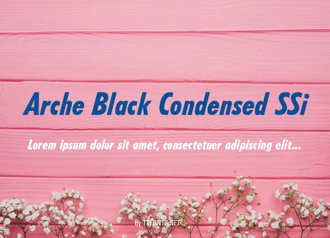 Arche Black Condensed SSi example